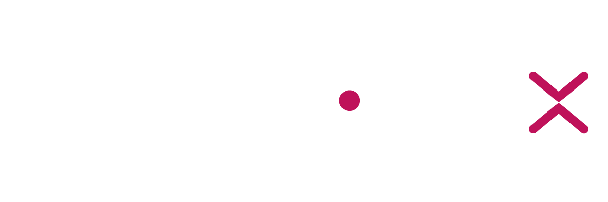 VisionX