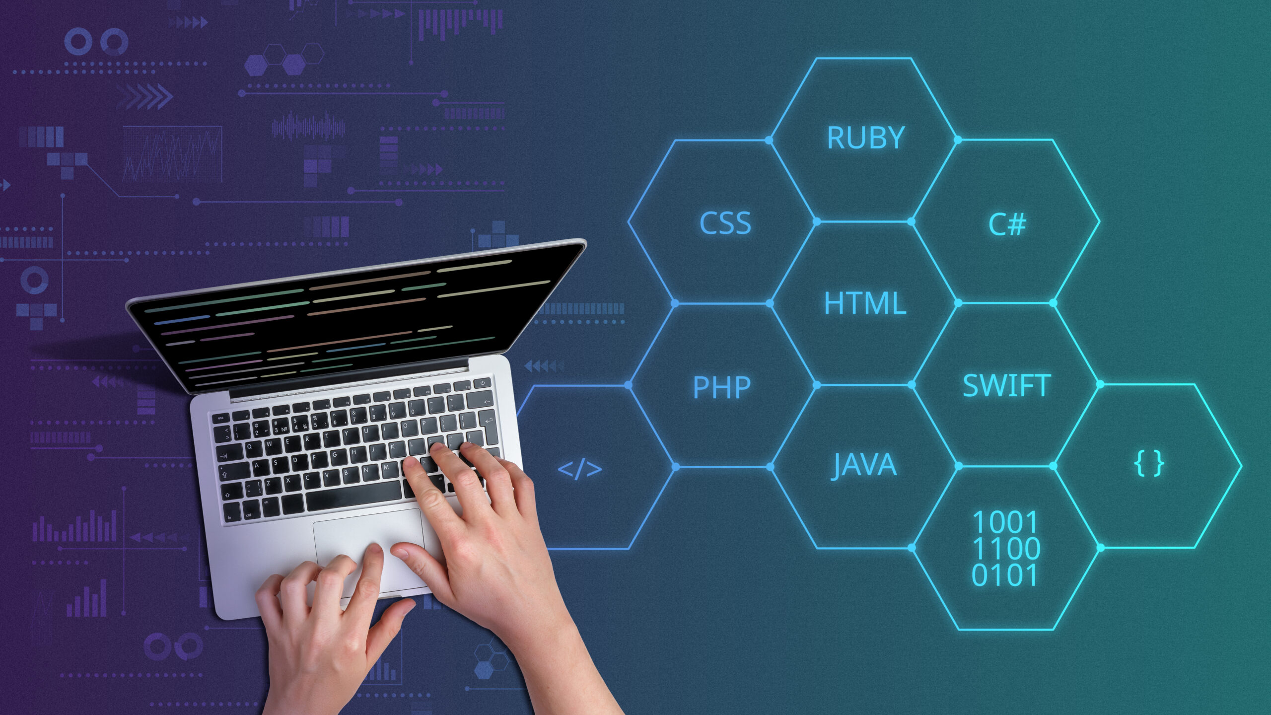 programming langauges